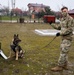 KFOR military working dog handlers train with MAT Kosovo