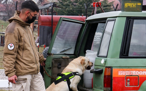 KFOR military working dog handlers train with MAT Kosovo