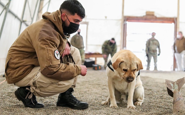 KFOR military working dog handlers train with MAT Kosovo