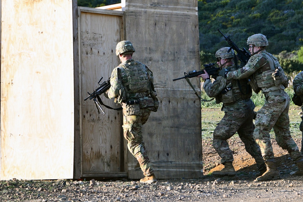 Exerecise Eagle Pangea