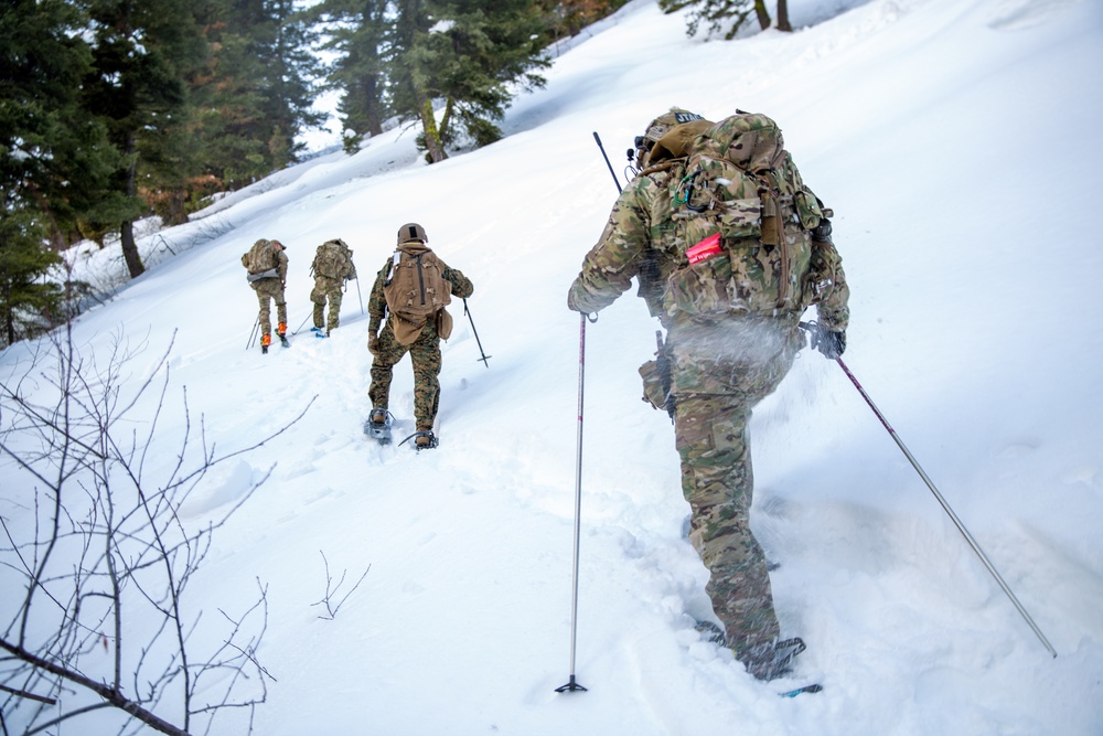 1st ANGLICO | Cold Weather Training