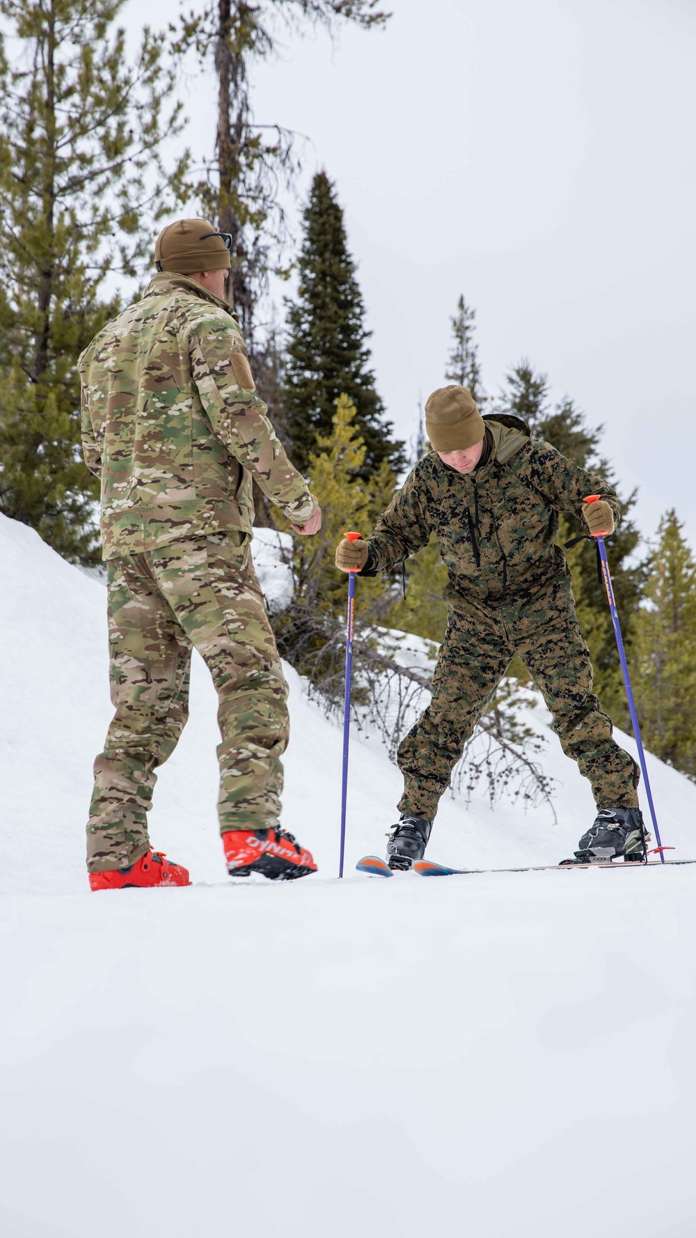 1st ANGLICO | Cold Weather Training