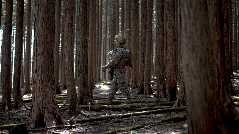 Echo Battery conducts Force on Force exercise