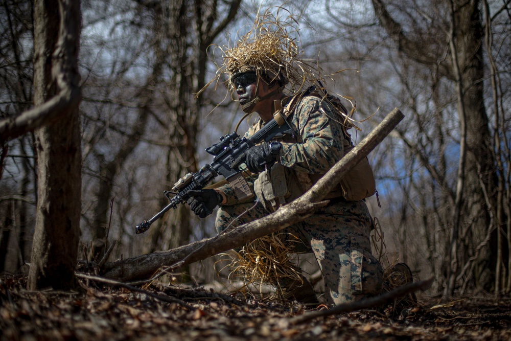 Echo Battery conducts Force on Force exercise