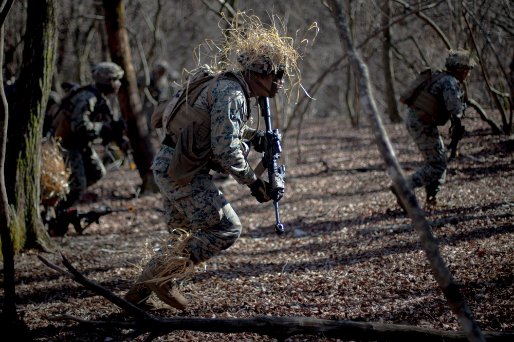 Echo Battery conducts Force on Force exercise