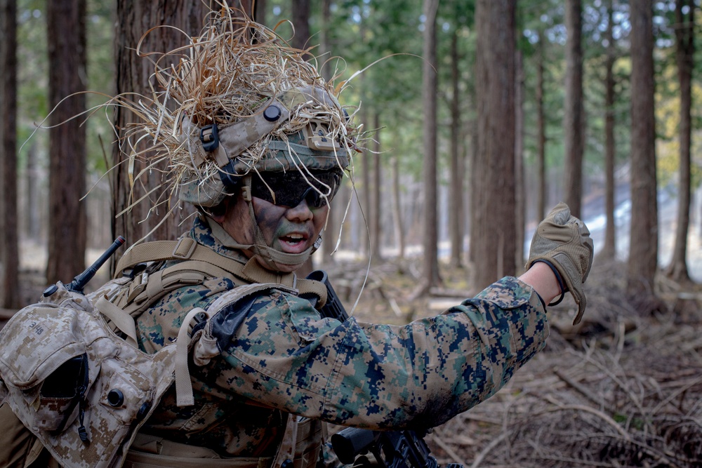 Echo Battery conducts Force on Force exercise