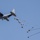 Airborne 21: U.S.- Japan conducts mass CDS bundles drop training