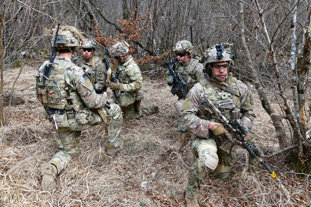 EXERCISE EAGLE SOKOL 21