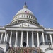 Task Force Capitol Grounds