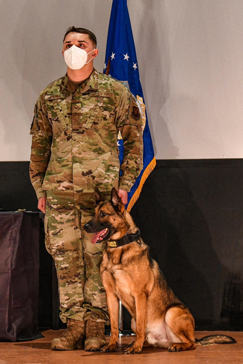 Military Working Dog Foster Retires from Service