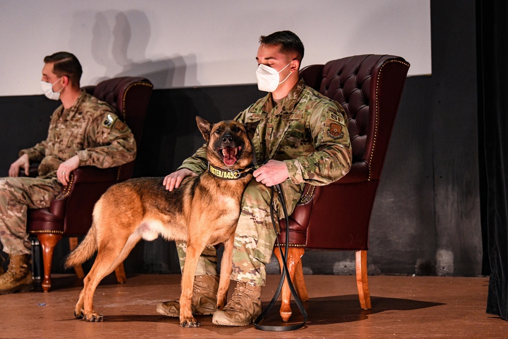 Military Working Dog Foster Retires from Service