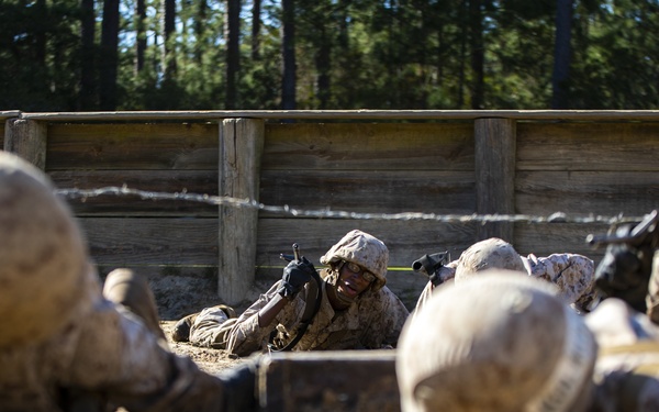 Papa Company Crucible