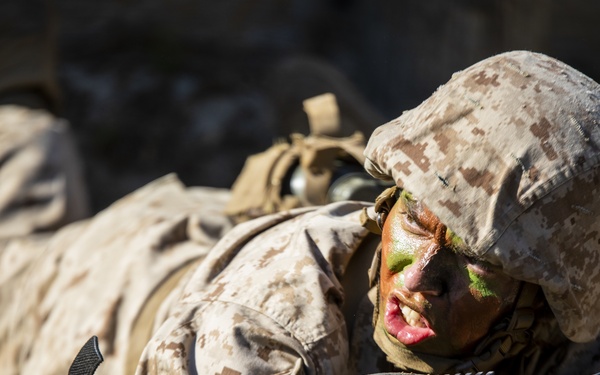 Papa Company Crucible