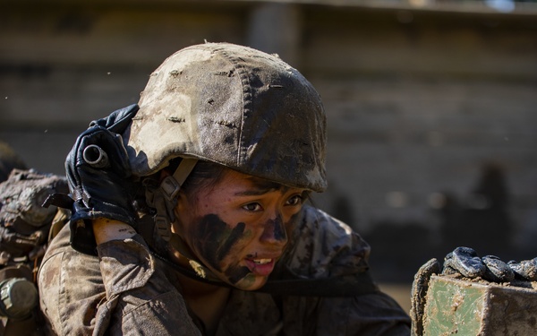 Papa Company Crucible