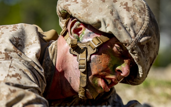 Papa Company Crucible