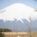 Camp Fuji remembers 3-11 with installation run and moment of silence