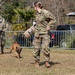 K-9 Veteran's Day Military Working Dog Demonstration
