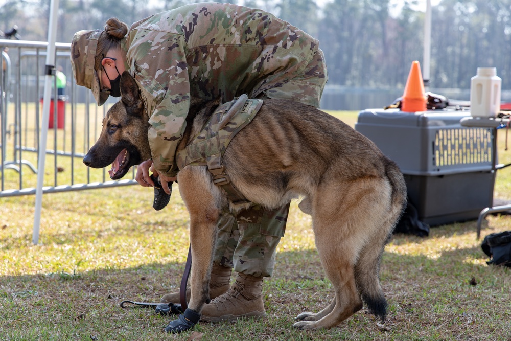 K-9 Veteran's Day Military Working Dog Demonstration