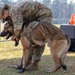 K-9 Veteran's Day Military Working Dog Demonstration