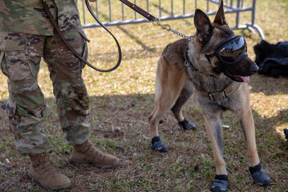 K-9 Veteran's Day Military Working Dog Demonstration