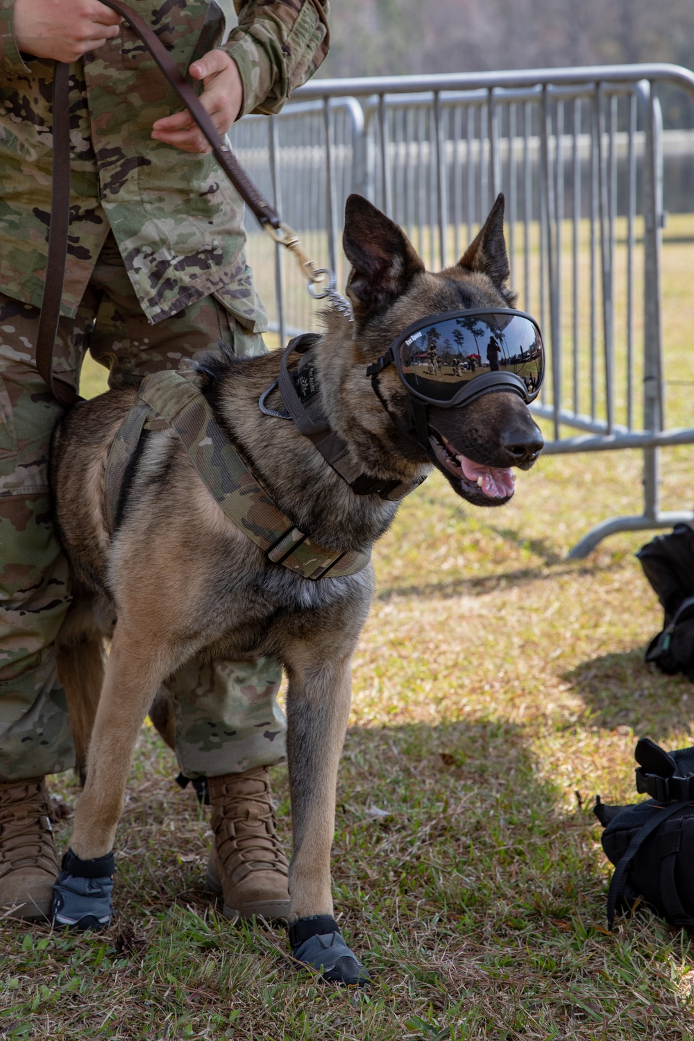K-9 Veteran's Day Military Working Dog Demonstration