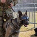 K-9 Veteran's Day Military Working Dog Demonstration