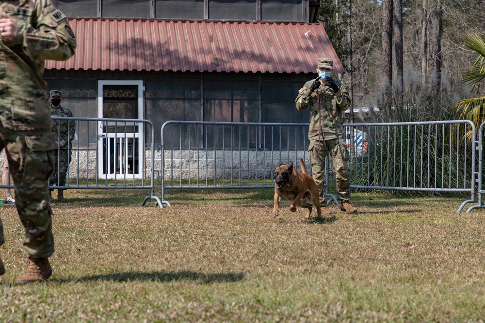 K-9 Veteran's Day Military Working Dog Demonstration