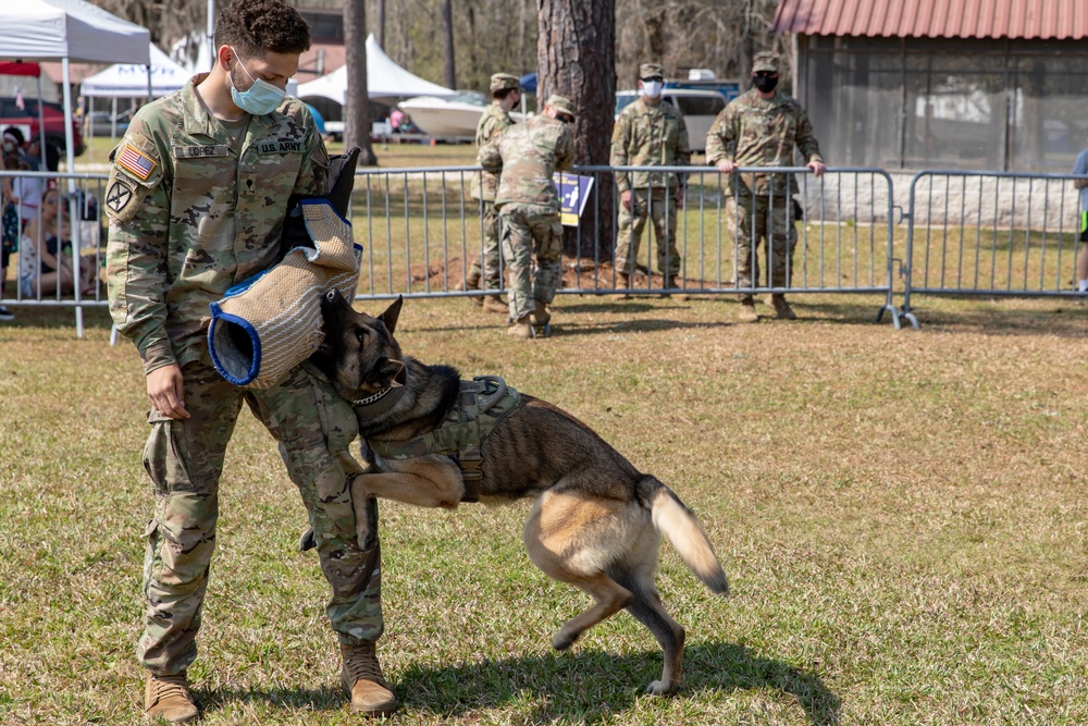 K-9 Veteran's Day Military Working Dog Demonstration