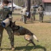 K-9 Veteran's Day Military Working Dog Demonstration