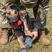 K-9 Veteran's Day Military Working Dog Demonstration
