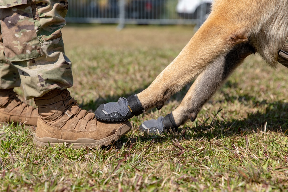 K-9 Veteran's Day Military Working Dog Demonstration