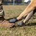 K-9 Veteran's Day Military Working Dog Demonstration