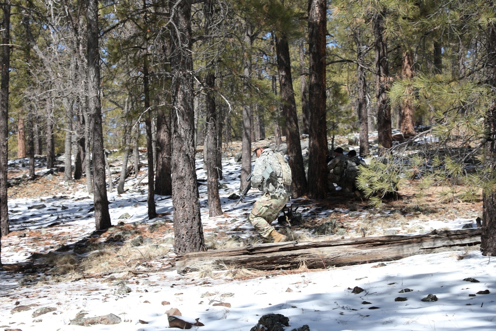 2021 Arizona Best Warrior Competition