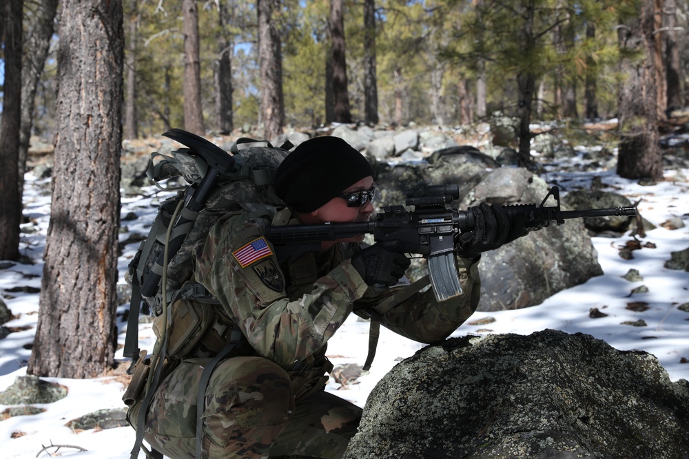 2021 Arizona Best Warrior Competition