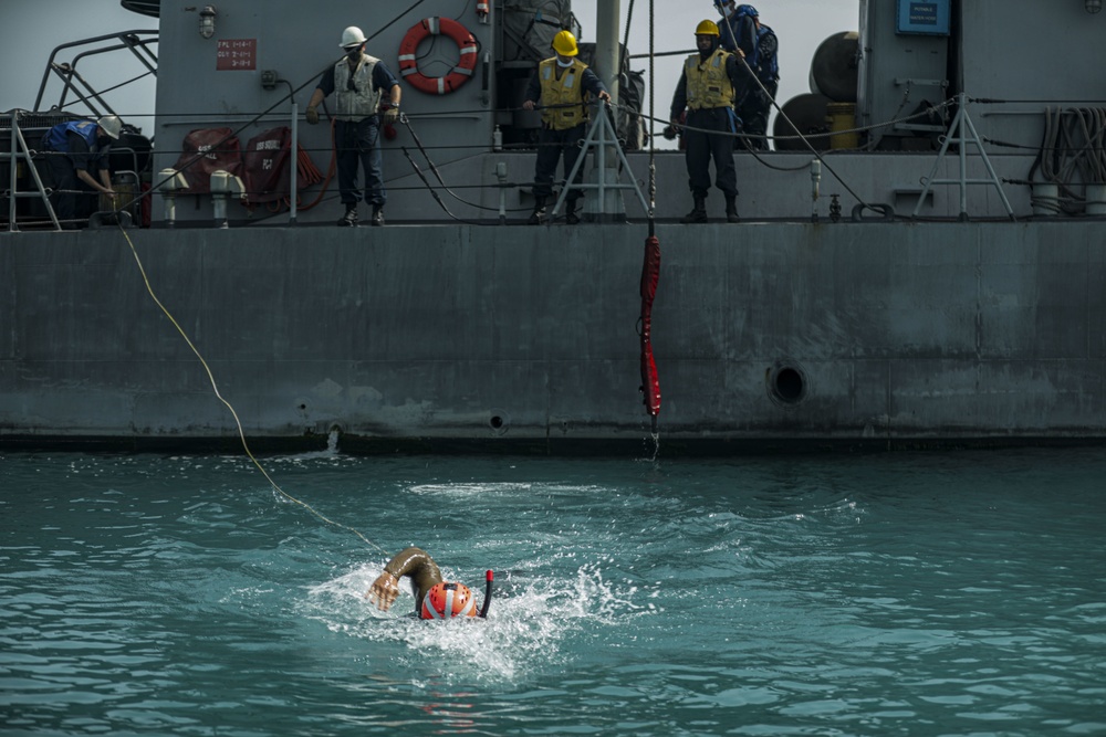 SAR Swimmer Training