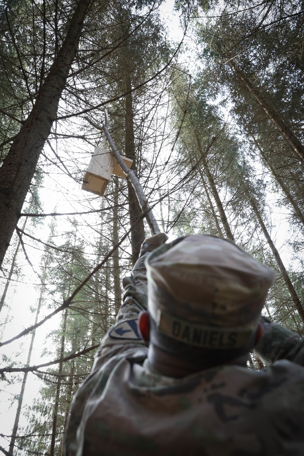 Lithuanian military cadets, U.S. Troopers build homes for birds