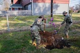 Dozens of trees planted near Family housing area with help from OCS volunteers