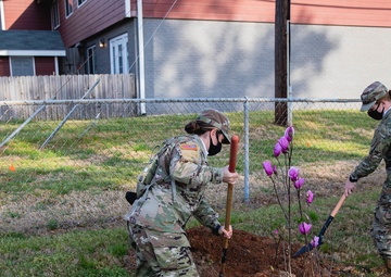 Dozens of trees planted near Family housing area with help from OCS volunteers