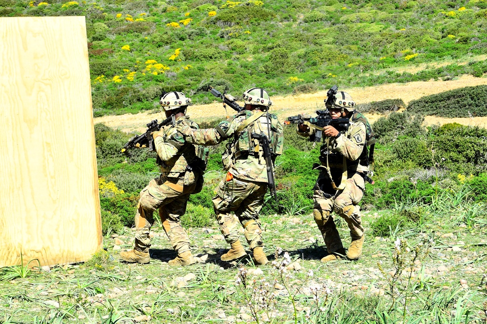 Exercise Eagle Pangea