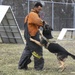 MWD: best friend or worst enemy