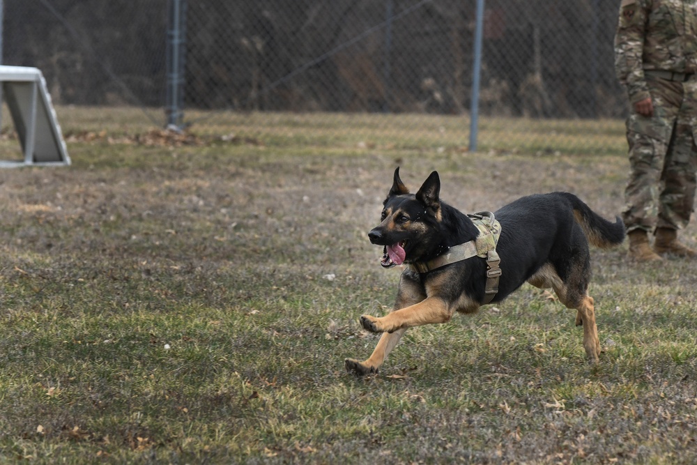 MWD: best friend or worst enemy