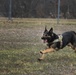 MWD: best friend or worst enemy