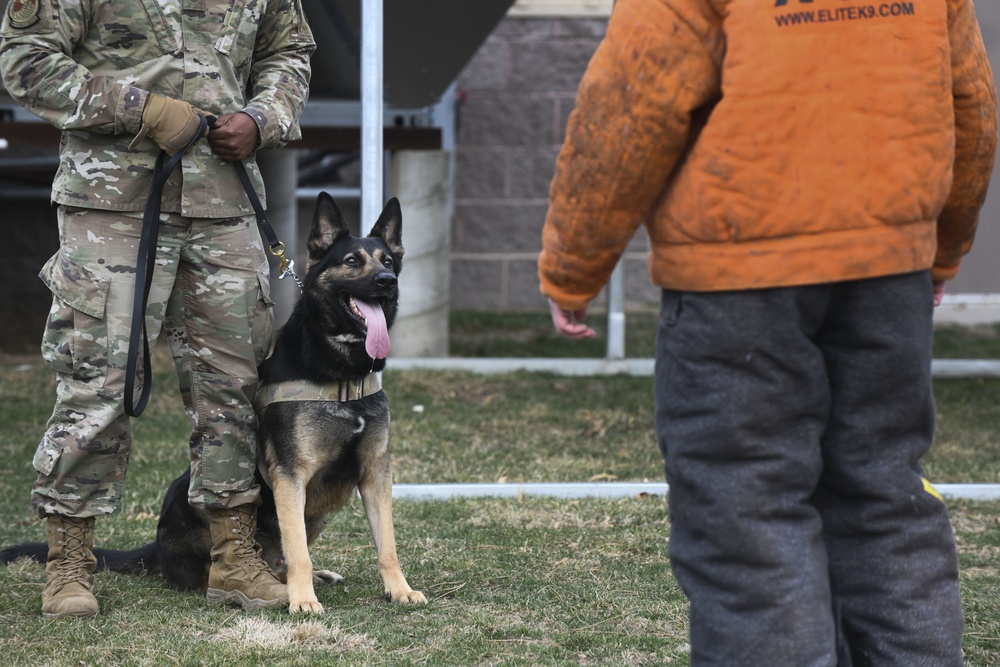 MWD: best friend or worst enemy