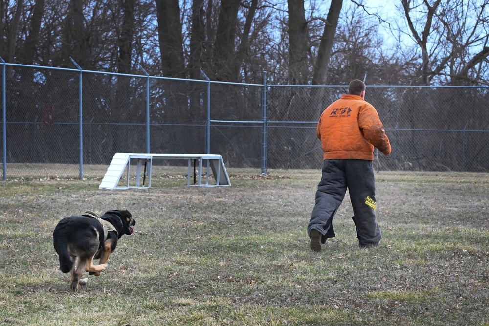 MWD: best friend or worst enemy