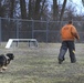 MWD: best friend or worst enemy