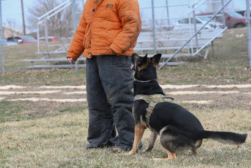 MWD: best friend or worst enemy
