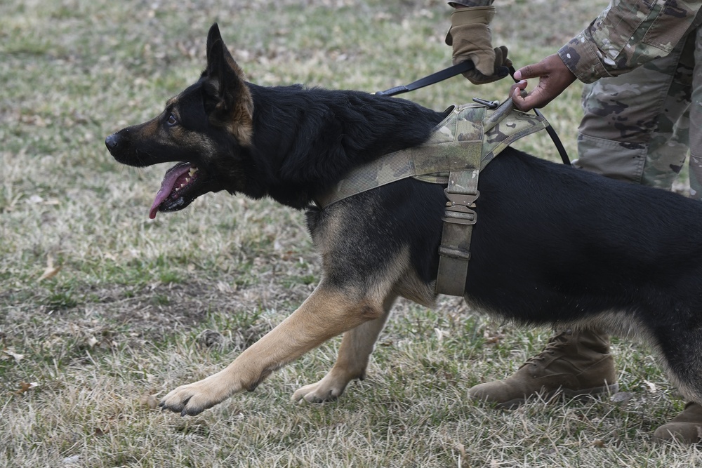 MWD: best friend or worst enemy