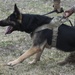 MWD: best friend or worst enemy