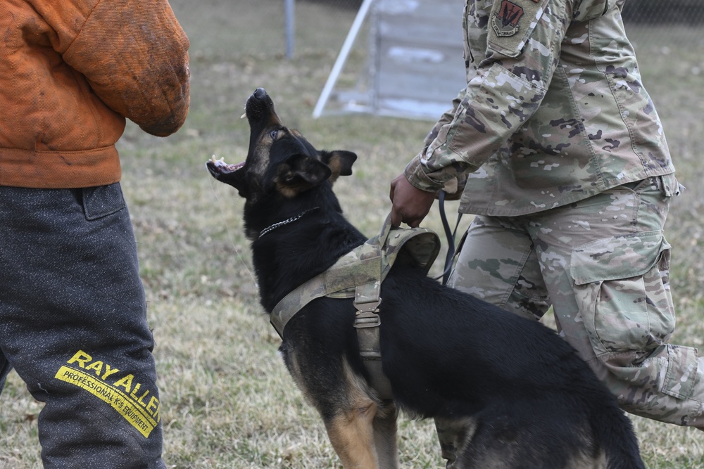 MWD: best friend or worst enemy