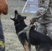 MWD: best friend or worst enemy